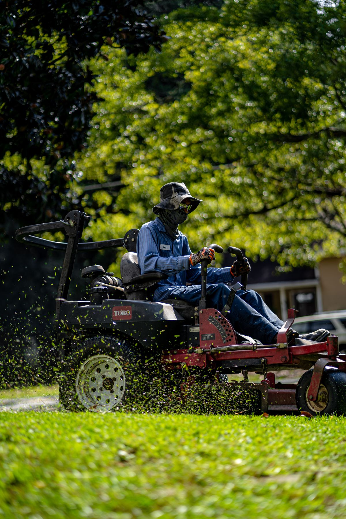 Landscaping and yard clean-up work in progress