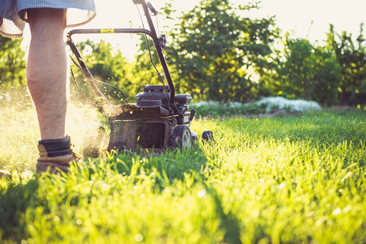 Person mowing a lawn as part of a yard clean-up